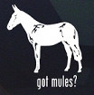 got_mules.jpg