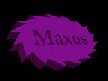 maxus-sm.jpg